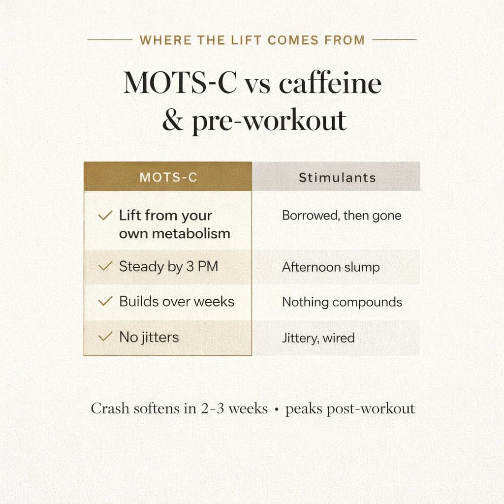 The 3pm crash was never about willpower. It was your mitochondria.