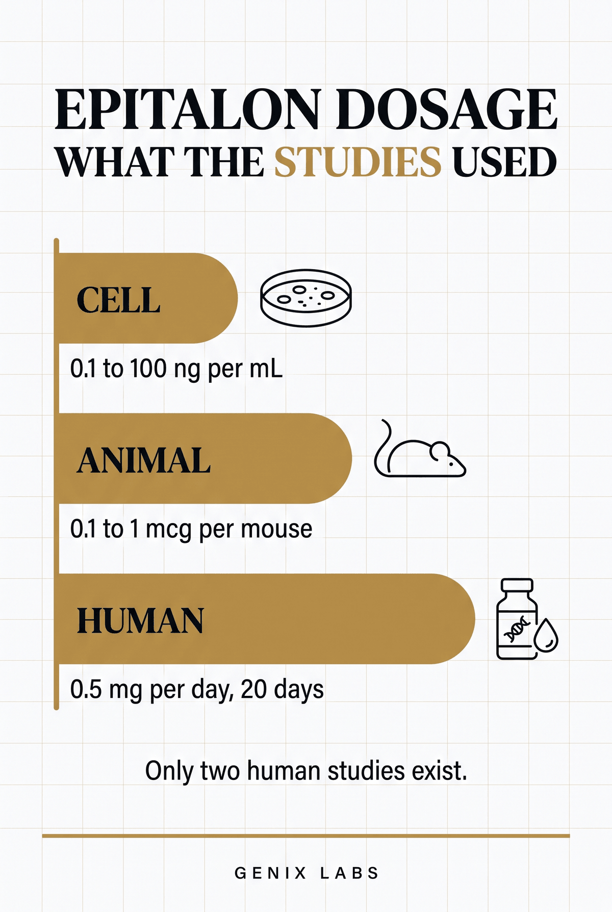 Epitalon dosage infographic comparing the amounts used in cell, animal and human epitalon studies